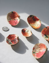 Load image into Gallery viewer, Mackworth Shell Jewelry Dish