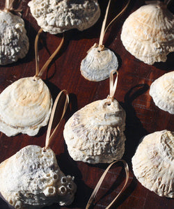 Oyster Shell Ornaments