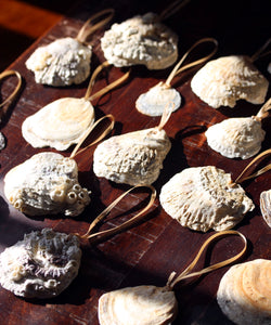 Oyster Shell Ornaments