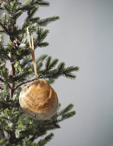 Oyster Shell Ornaments