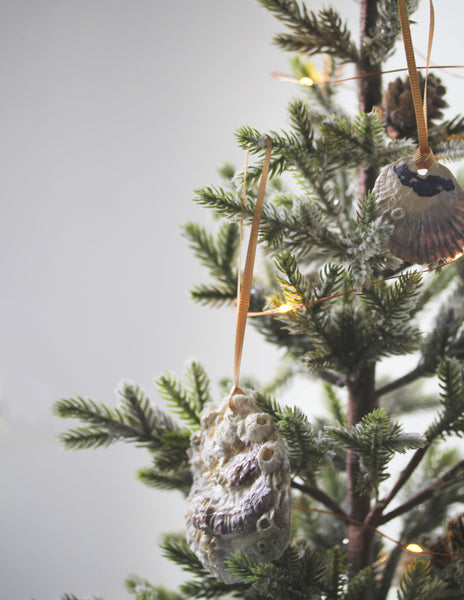 Oyster Shell Ornaments